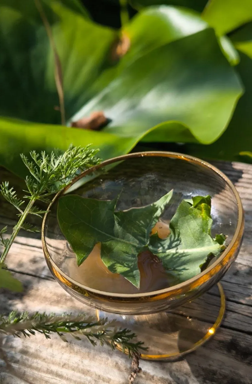 Glasschale mit Wasser und Blättern