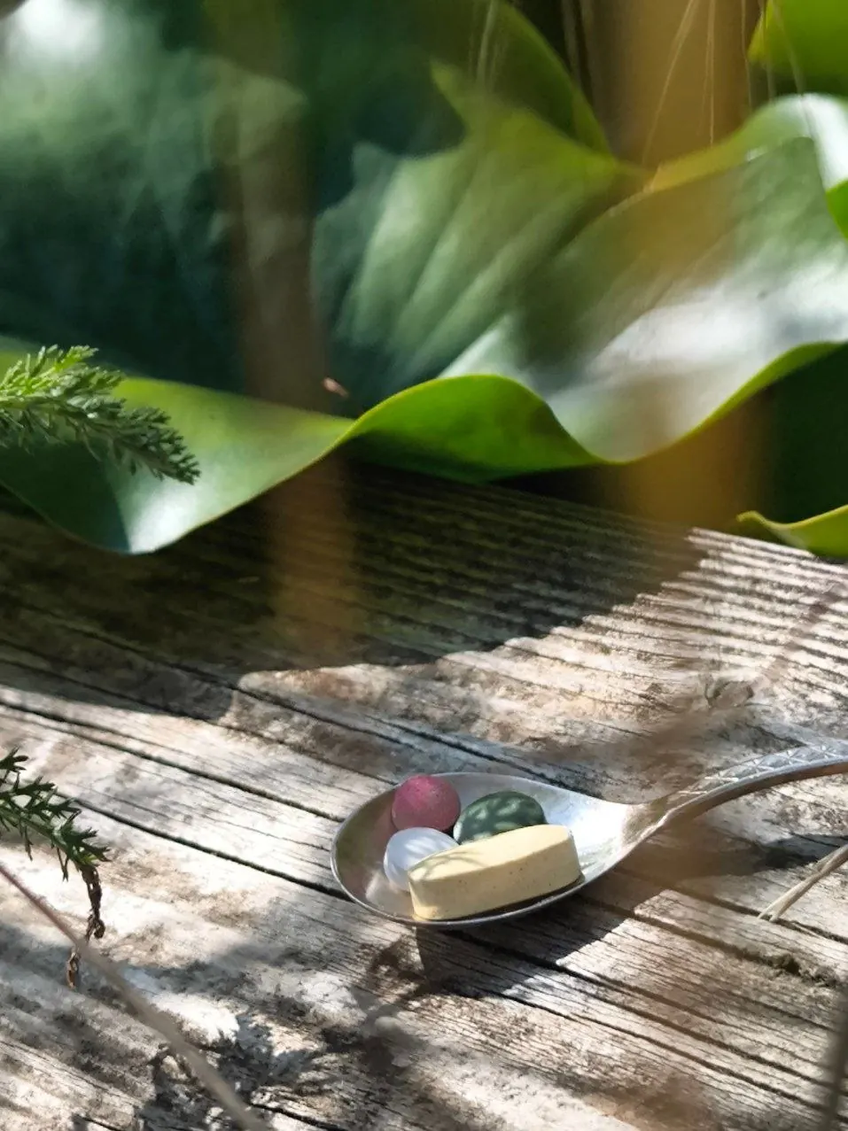 Löffel mit Tabletten vor großen Blättern